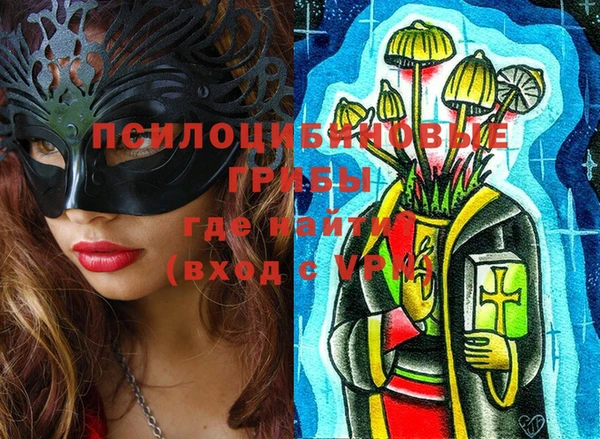 индика Валдай