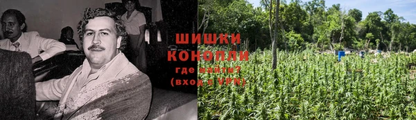индика Валдай